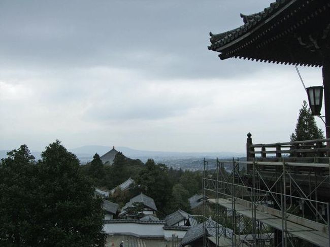 大仏殿方面です。