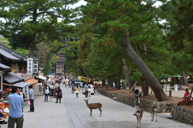 続いて東大寺へ。