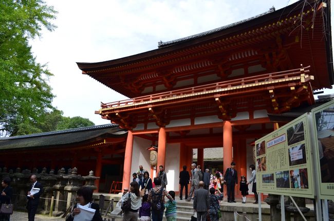 スーツ姿の家族が多いな〜と思ったら