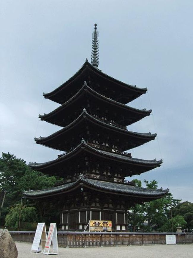 興福寺に来ました。