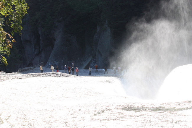 片品村周辺で観光 バードウォッチング 11 2 吹割の滝編 沼田 群馬県 の旅行記 ブログ By 潮来メジロさん フォートラベル 片品村周辺で観光 バードウォッチング 11 2 吹割の滝編 沼田 群馬県 の旅行記 ブログ By 潮来メジロさん フォートラベル