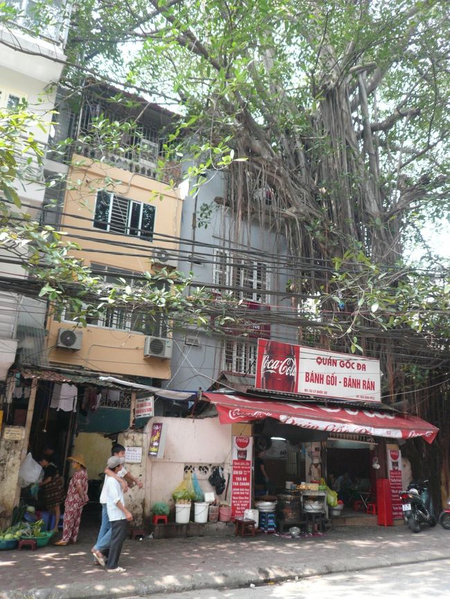 ベトナムらしく感じるもの<br /><br />ガジュマルの大きな木<br />間口が狭く、縦に高い、パステルカラーの建物<br />男の子同士でも肩を組む（女の子、女のひとも腕を組む）スキンシップ文化<br />ノンをかぶった女性