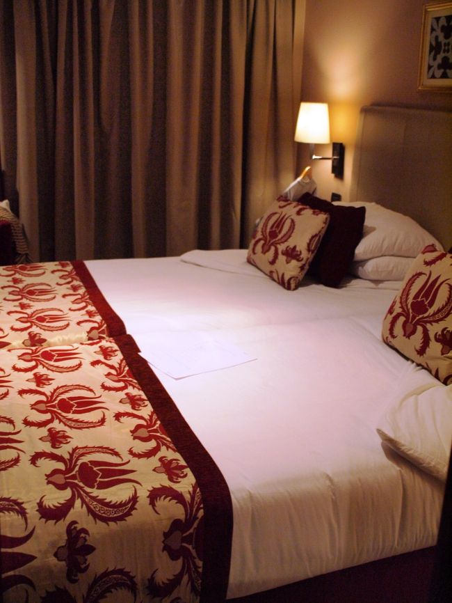 なんか今日食欲がない。<br />しかも体がだるいし寒気がする。<br />額に手を当てると少々熱っぽく熱い。<br /><br />ひょっとして風邪ひいた？私。<br />今日はなんだか盛りだくさんな日だったし疲れがでたのかな？<br /><br />今日の夜は、ラウンジで仲良くなった従業員にAfter　Dinnerはラウンジで話そうぜ。<br />と言ってたんだけど、だめだぁ・・・しんどい。<br /><br />ほんの少しの夕食を頂き部屋に戻るとターンダウンが終了してた。