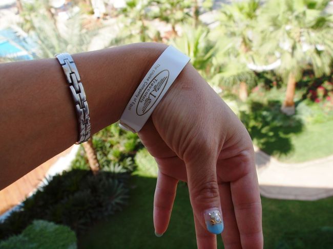 船は通常1日3食で飲み物は別。<br /><br />私達が予約したのは、ローカルDrink飲み放題が入ったAll Inclusiveのプラン。<br />一日辺り24ドルプラス。<br /><br />All Inclusiveのお客さんは手にAll Inclusiveのマークの腕輪を装着される。<br />これは船を降りるまでずっと要装着。