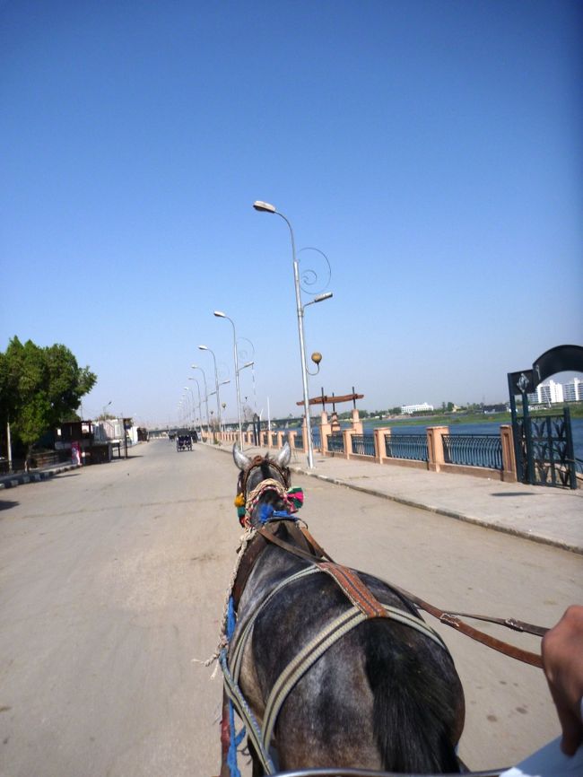 まったりしていると、エドフへ到着。<br /><br />エドフでもまた同じガイドさんがアテンドしてくれる。<br /><br />エドフの神殿までは船着き場から少々距離があるので、船着き場に待機している馬車に乗り込む。<br /><br />馬車の運転手とガイドさん、我ら二人と超大柄なオランダ人2名の合計6名で乗込む馬車。<br /><br />お馬さん、ちょいと重いけどがんばって！