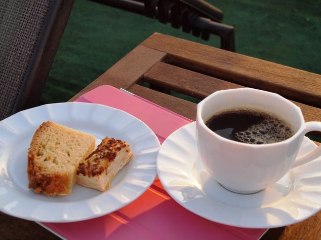 本日の観光Pointのコム・オンボとエドフの観光終了。<br />我々をアスワンからアテンドしてくれたDooaさんともお別れ。<br />お互いFacebookのアドレスを交換してお別れする。<br /><br />外国人から「Facebook教えて」と言われるので登録している私。でも実は全く使っておりませぬが･･･<br /><br />戻ってきたら、またデッキへGo。<br /><br />エドフを後にした船は一路最終目的地ルクソールへ向かう。<br /><br />まだお酒をあまり飲みたくない私は、16時半からデッキで行われているTea Partyでコーヒーとお菓子を頂く。<br /><br />