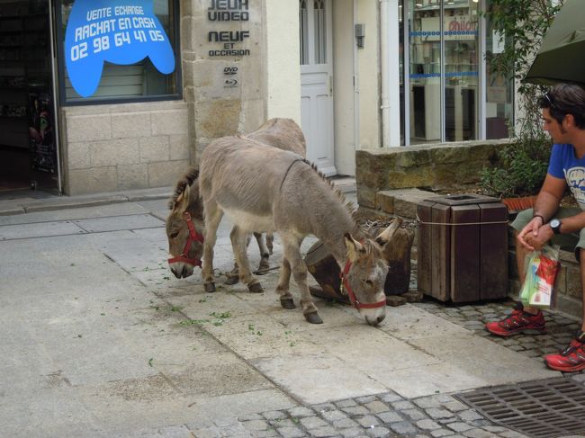 サン・コランタン広場とサン・コランタン大聖堂からまっすぐ伸びるメイン・ストリートのケレオン通りとの交差点あたりにいたロバ使い。<br /><br />「客がこないから暇だぜ」<br />と手持ち無沙汰な様子。<br /><br />しばらくして戻ってきたら、ロバにちびっ子を乗せてた・・良かったね♪