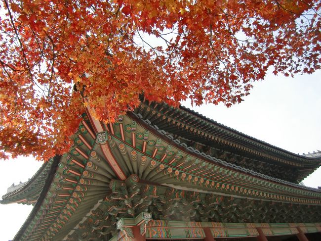 2011.11.4 Fri.<br /><br />世界遺産「昌徳宮」（チャンドックン）へ。<br />