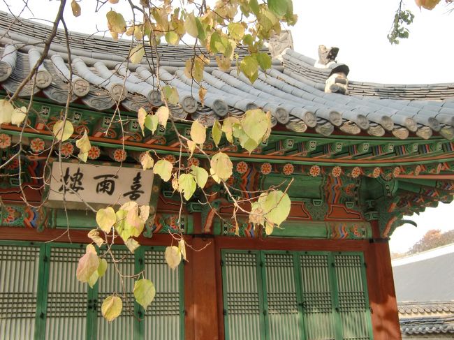 昌徳宮の奥の庭園「後苑（秘苑）」（フウォン（ビウォン））の紅葉がとっても綺麗でした。<br /><br />ここからしばらくは、美しい紅葉をご覧ください。