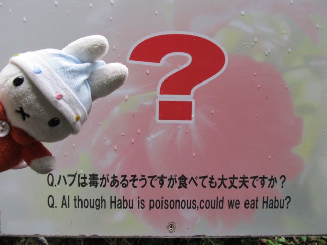 じゃじゃーん！<br />コニヘーのハブクイズ！<br /><br />ハブは食べれる？？