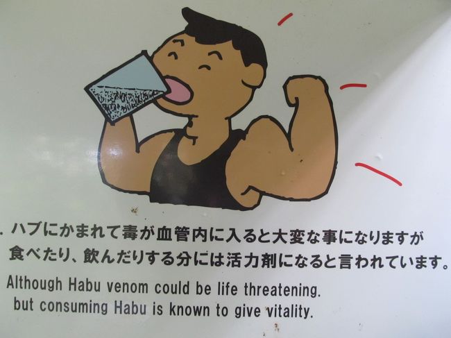 食べれるの。<br />アソコが強くなるの！<br /><br />アソコってどこ？？