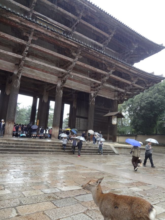 その大きさにまず唖然。