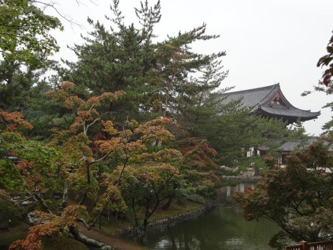 池の周りを散策。<br />大仏殿が見えてきました。