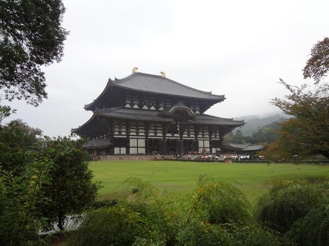 中門の入場口辺りから見た大仏殿。<br /><br />何と凛々しいお姿(@o@)