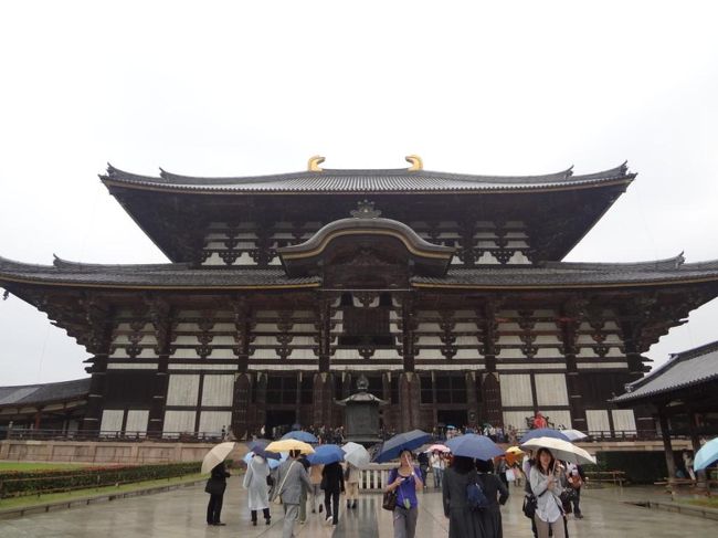 正面までやってきました！