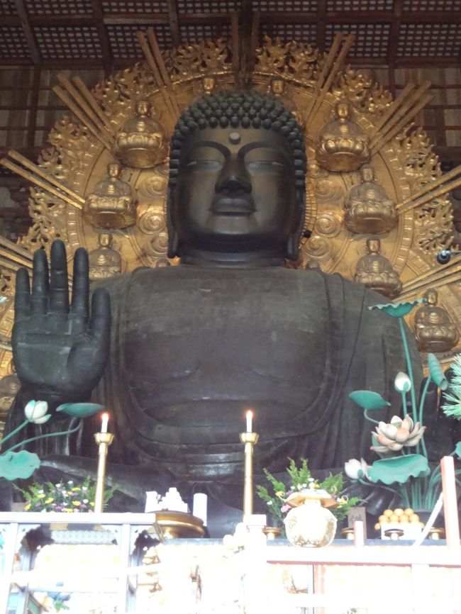 いた〜！！<br />いきなり真正面にいましたっ！<br />これが奈良の大仏様ですかぁ〜っ！！<br /><br />これは<br />高感度モードで撮影しました。<br />建物内は照明がなくて暗いから<br />通常のISOではなかなか大仏様の写真は撮れません(>_<)<br />