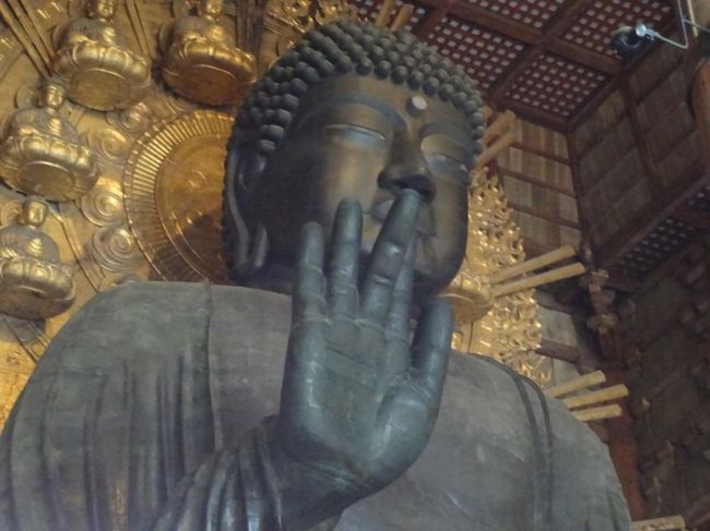 ちょっと寄って<br />お顔に近づいてみました。