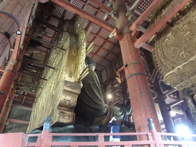 大仏様の裏側。<br /><br />あのコ、どうやってあんなに近くに行けたんだろう・・・。