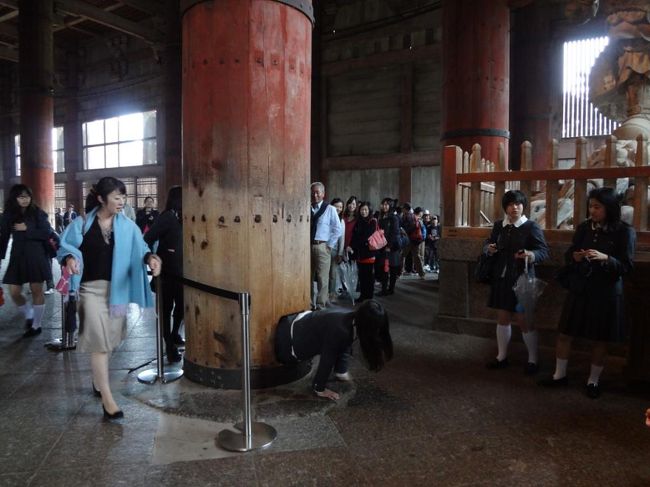 あ！<br />これはＴＶで観たことある！<br /><br />結構な行列が出来ていました。<br />で、これ、潜れたら何のご利益があるんでしたっけ(^o^;)?<br />