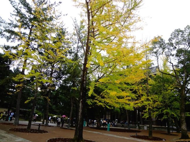 東大寺ミュージアムの前のいちょうの木。<br />ここだけ一際明るい黄色<br />まるでスポットライトのようなのに<br />オートではこの色がなかなか出なくって・・・・・。<br /><br />色々撮ってみて<br />逆行補正のこの写真が<br />一番見たままの色に近い感じとなりました。<br />