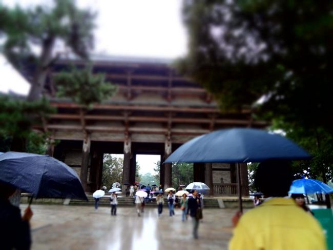 東大寺ミュージアムをサラッと見終えて<br />南大門に向かいます。<br /><br />これもミニチュアモードで撮りました。<br />色んな傘の色合いが<br />童話の挿絵みたいだったので。<br />（でも残念ながら、この写真ではあまり傘の色が出ていませんが）