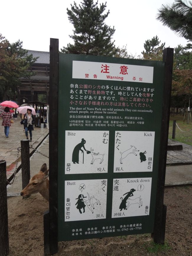 参道の看板。<br /><br />皆さん<br />シカさんと仲良くしたかったら守りましょう♪<br />