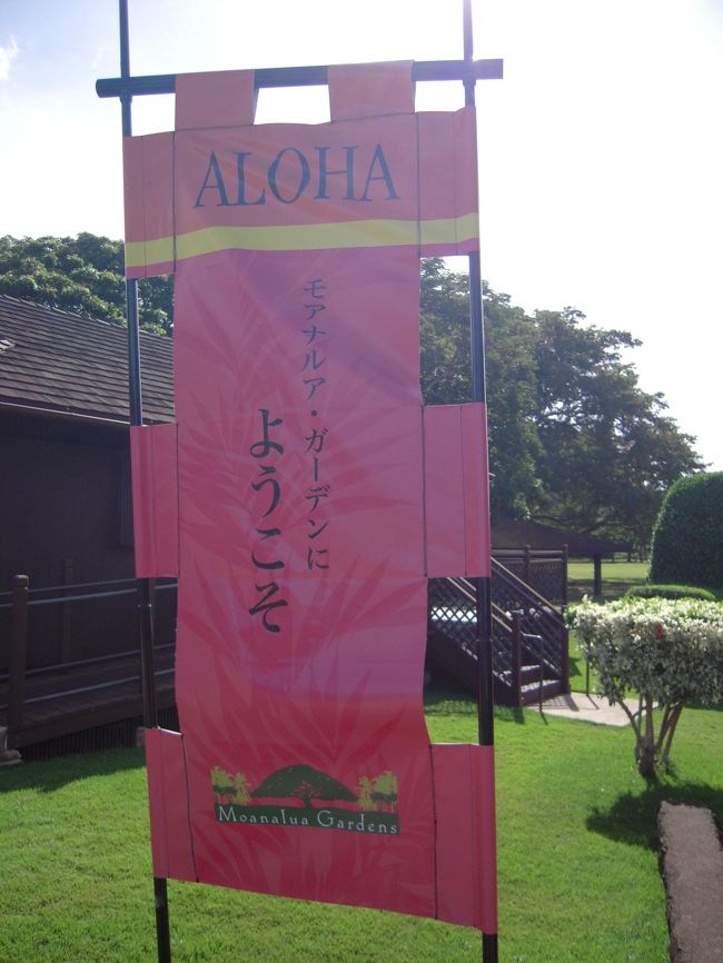 食後に車窓観光も交えつつ向かうは、<br />モアナルア・ガーデン☆<br />