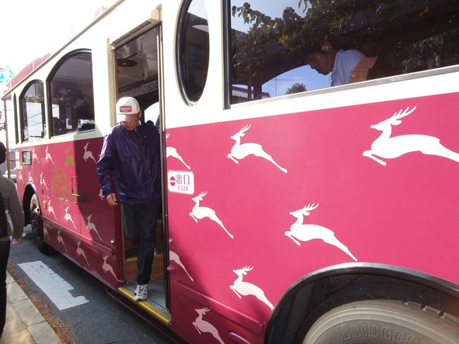 こんな車体です♪