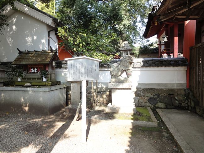 あれ？神社だ\(◎o◎)／！