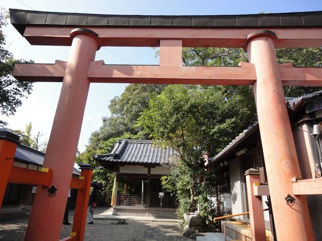 立派な鳥居です。