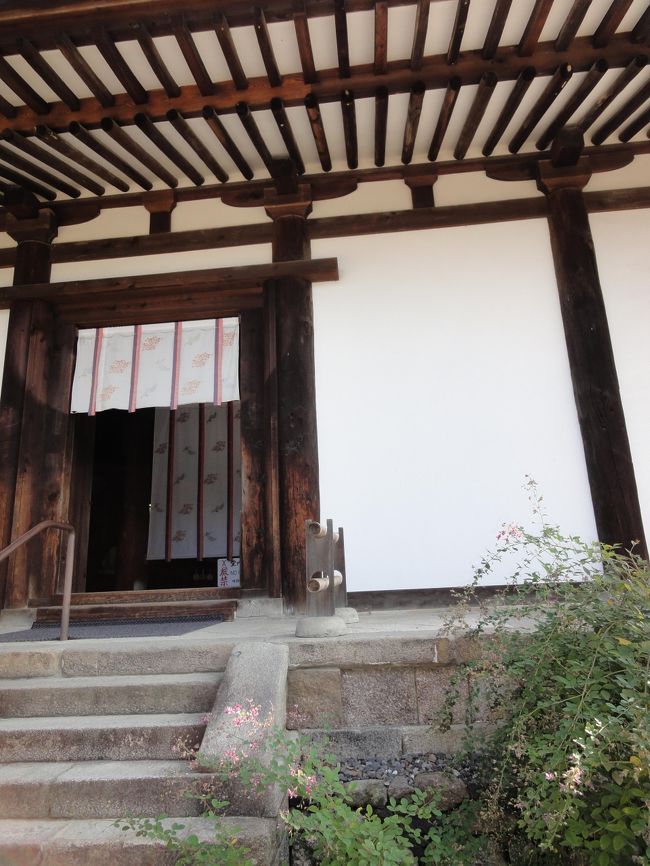 ここから入るのですよ！