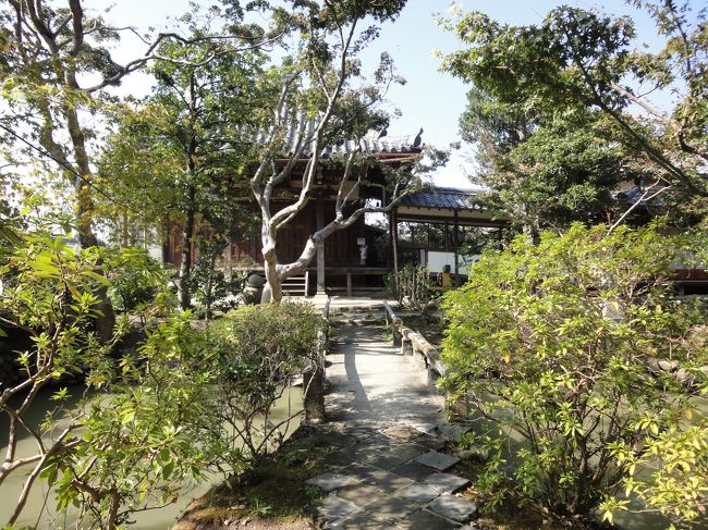 お庭のほうも♪