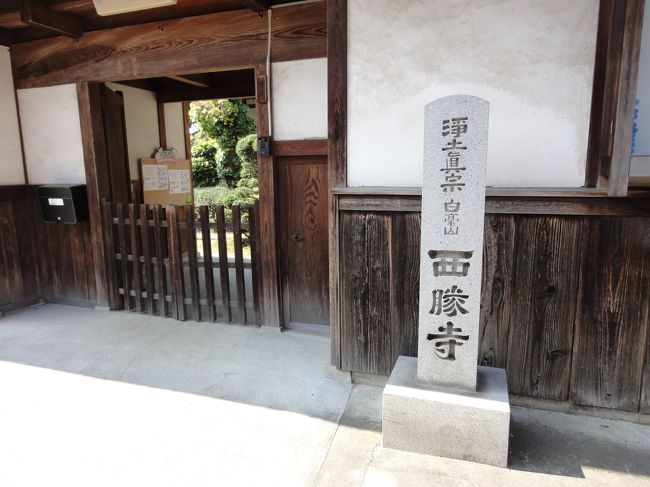 ここじゃあ、ないよ！