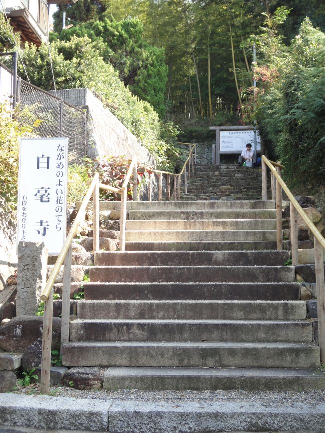 見えてきました♪<br /><br />ふえー！階段だー！