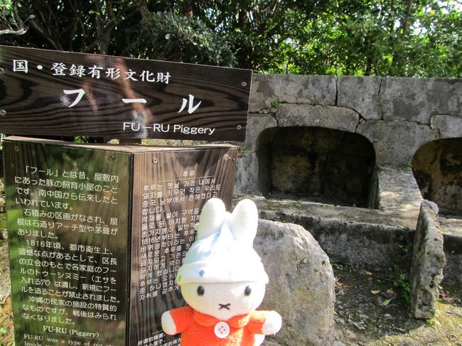 グーちゃん、これは？？