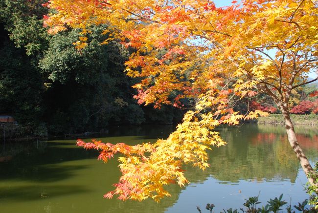 トロッコで嵐山に向かい<br /><br />トロッコを降りてから<br /><br />常寂光寺に向かう途中の道です。