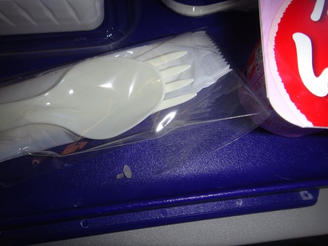 ご飯なんてないのに米粒発見・・・さすがっすΣ\(￣ｰ￣;)