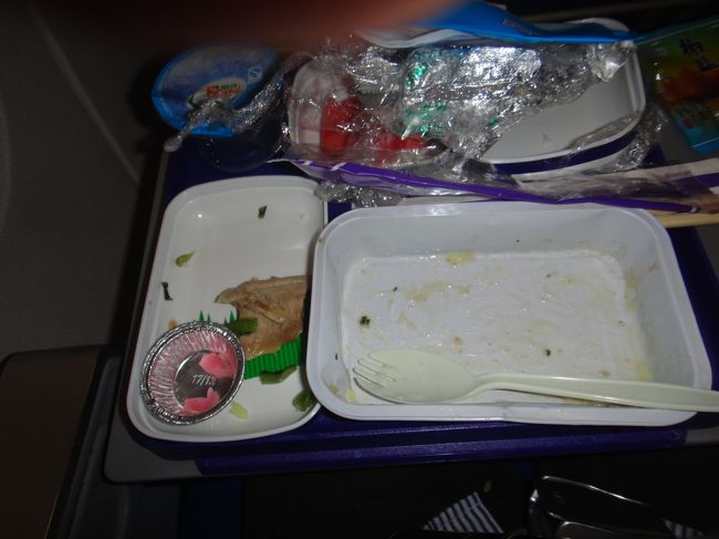 けっこうこの機内食いけたのでまずまず完食しました。