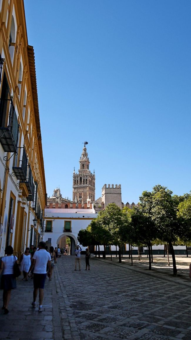 カテドラルのヒラルダの塔が見える