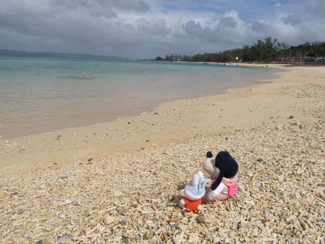 コニヘー！<br />これが沖縄の海なの。<br />お前にこれを見せたくて<br />連れて来たの。<br />感謝するの！