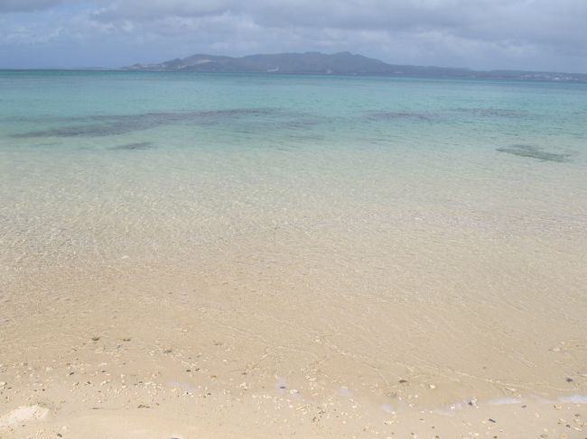 コニ（別にグーちゃんに連れてきて<br />もらったわけじゃないんだけどな・・・。）