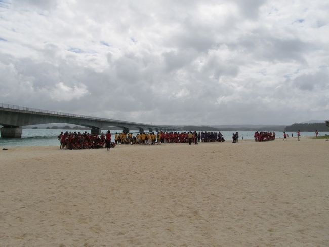 でも海の色は<br />橋を渡ったほうが<br />つまり古宇利島サイドのほうがいいの。