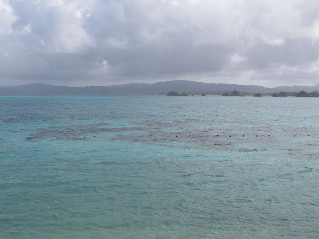 これを見るの！！<br />ヾ(＠＾▽＾＠)ﾉ ワーイ