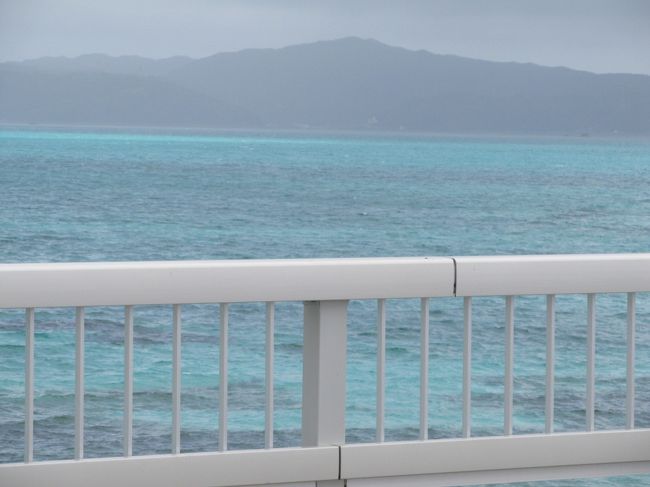 さらにズームイン！<br />これがマリンブルーというの！！