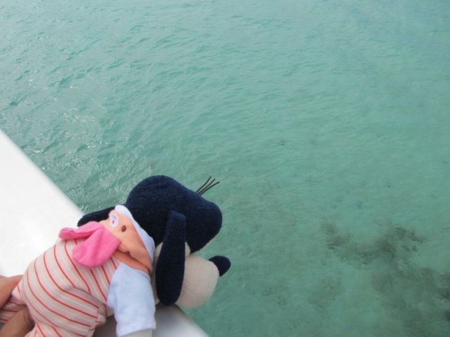 なべなべ！<br />グーちゃんの足を<br />しっかり持っててくれなの！