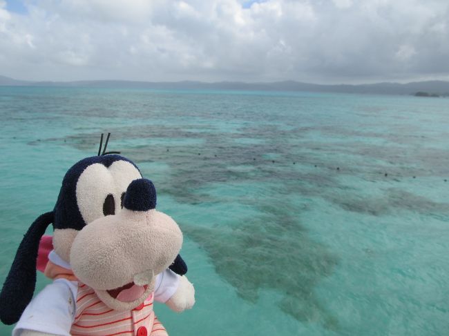 グーちゃんは<br />民主党のドジョウ首相に代わって<br />宣言するの！<br /><br />ここに基地を作ってはいけないの！！<br />ヾ(｡｀Д´｡)ﾉ彡☆ﾌﾞｰﾌﾞｰｯ!!