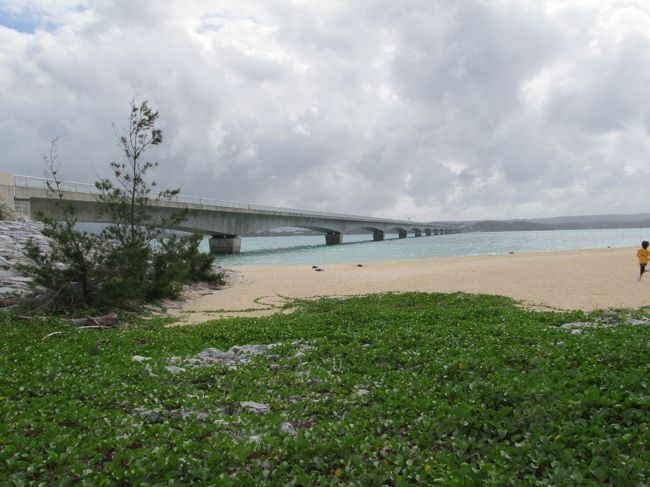 大家（うふやー）に<br />沖縄そばを食べにいくの！！<br />わーい！！