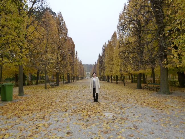11月4日<br />シェーンブルン宮殿の庭園内<br />紅葉がとってもキレイ。