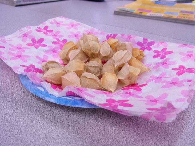 休憩室にちょこんと誰かが置いた果物が。。。<br />小さなホウズキみたいな実。ほんのり甘い。<br />何とかベリー？と言っていたが、名前忘れた。