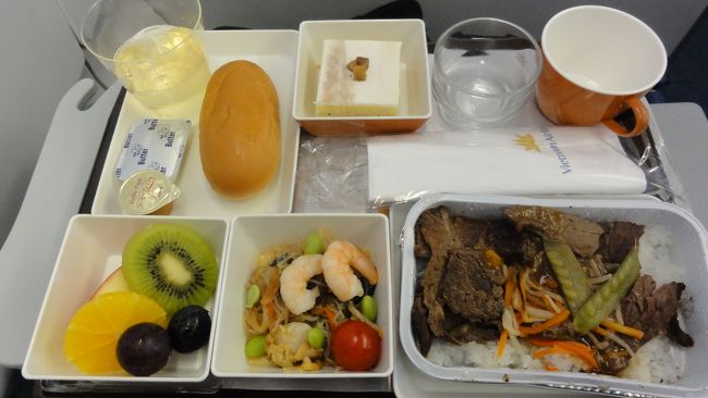 ちょっと、ベトナム航空のは残念かな・・・。